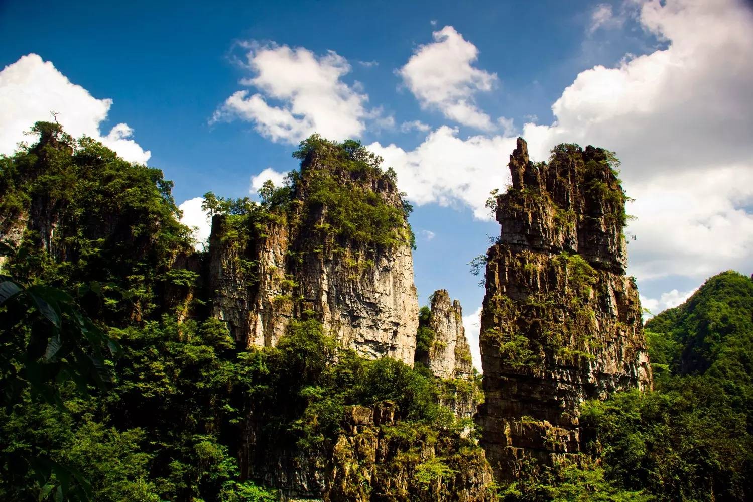 新泰自駕游：領略自然之美，探尋歷史文化的獨特魅力